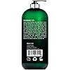 BOTANIC-HEARTH-Eucalyptus-Tea-Tree-Body-Wash-Helps-with-Nails-Athletes-Foot-Ringworms-Jock-Itch-Acne-Eczema-Body-Odor-Soothes-Itching-Promotes-Healthy-Skin-and-Feet-16-fl-oz Botanic Hearth Eucalyptus Tea Tree Body Wash, Helps with Nails, Athletes Foot, Ringworms, Jock Itch, Acne, Eczema & Body Odor, Soothes Itching & Promotes Healthy Skin and Feet, 16 fl oz