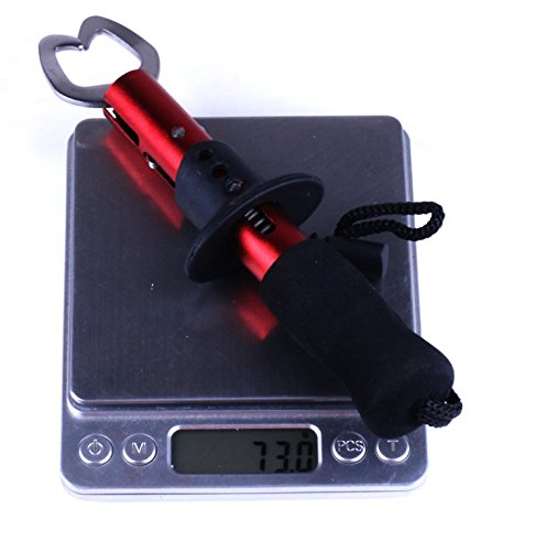 LENPABY 17cm Fish Lip Gripper Fish Scales Professional Fish Holder Stainless Steel Fish Lip Grabber Fish Lip Grip Tool with Weight Scale