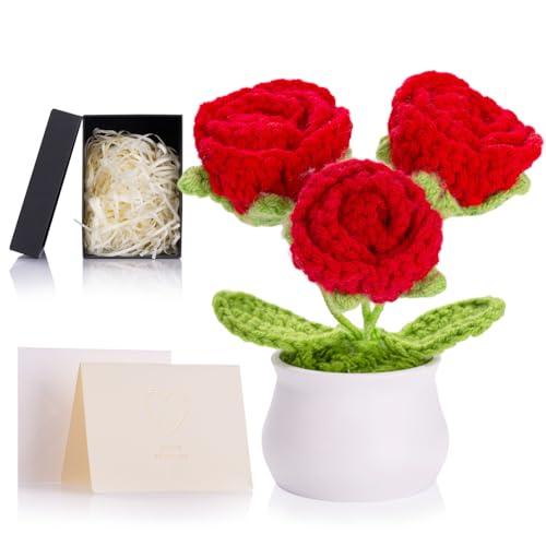 ZHIYUXI Red Eternal Rose Crochet Preserved Roses...