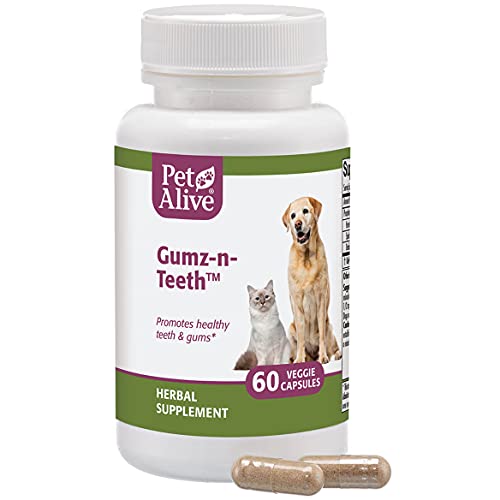 Petalive Gumz-N-Teeth - All Natural Herbal Supplement For Healthy Teeth And Gums In Cats And Dogs - Supports Oral Health In Pets - 60 Veggie Caps #TOP1