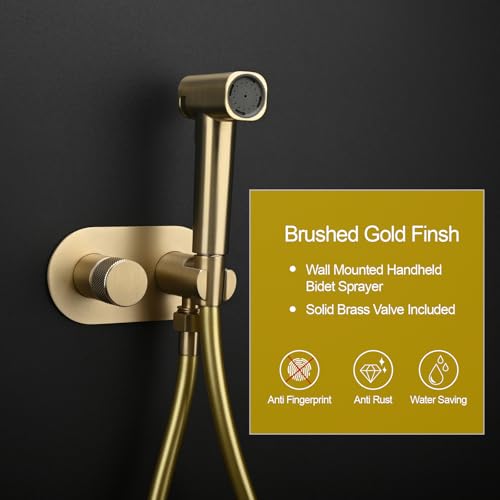 DEOLER Handheld Bidet Sprayer Set Concealed Hot and Cold Bidet Spray for Toilet with Brass Valve Warm Water Round Bidet Attachment Set for Feminine Hygiene, Pets and Baby Diaper Wash, Brushed Gold