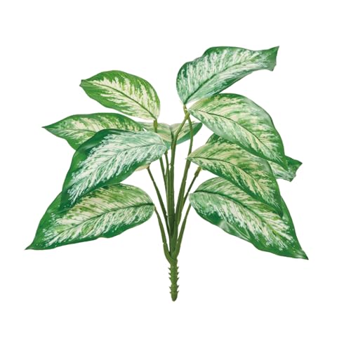 (Tokyodo) GNXeAAOIl}ubV #023O[N[ tL12`16×L26×W35cm 1 FG003705-023