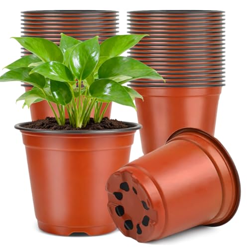 KINGLAKE Anzuchttöpfe 15cm Pflanztöpfe Anzucht 100 Stück Aufzuchttöpfe Plastik Kleine Setzlinge Anzucht Töpfe Pflanzen Blumentopf Kunststoff Pikiertöpfe Plastiktöpfe Umtopf Töpfe