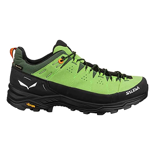SALEWA Alp Trainer 2 GTX, Scarpa da Trekking da Uomo (Pale Frog - Black, Numeric_43)