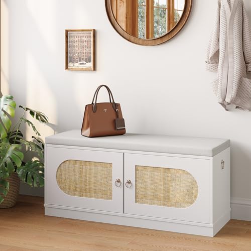 DSNAPE Scarpiera Panca Ingresso, 100CM Panca Contenitore con Cuscino Imbottito, Cassapanca Contenitore da Interno per Corridoio Soggiorno, Bianco & Rattan
