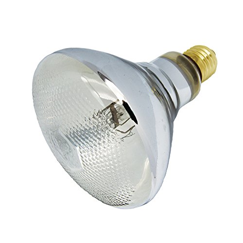 25 Best UVB Bulb For Bearded Dragon in 2020 (Reviews & FAQs)