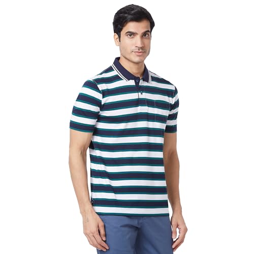 Image of Colorplus Men's Pure Cotton Stripe Pattern Classic Fit Polo Neck Half Sleeve Casual T-Shirt