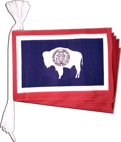 Guirlande drapeau USA Wyoming Digni 5,9 m pour décorer un grand espace vide