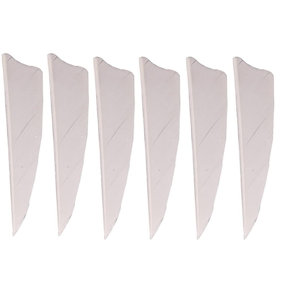 Plumes de flèche de bouclier de 4 pouces, 50 pièces, fletting