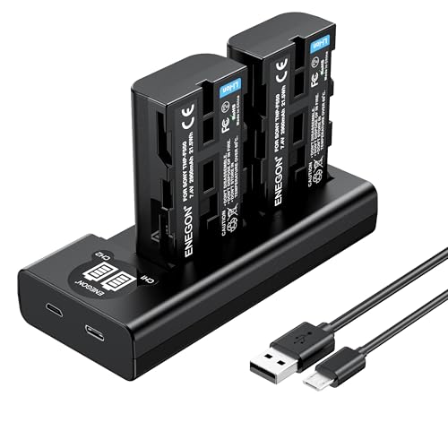 ENEGON NP-F550 Chargeur de Batterie Kit 2X 2900mAh Batterie de Remplacement LCD Type-C Câble USB Chargeur pour Sony NP F970/F960/F770/F750/F570/F550/F530/F330/CCD-SC55/TR917/TR910/TR818/TR716/TR516