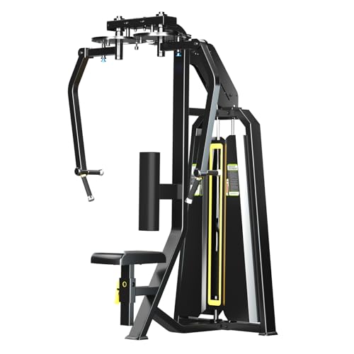 Image of Fly and Rear Delt Component for DGYM Chest & Shoulder Workout, Includes 210 lb. Weight Stack with 310 lb. Weight Stack Option