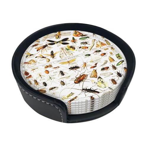 �R�[�X�^�[ ������ �C���X�g ���� �g�r���V �ڋ��M�t�g ������� �J�W���A�� �z������ Pu �Ȗ���� �~�^ �J�b�v�z���_�[ ���I�̐��H�h�~ �L�b�`�� �V�z�j�� 6��/�Z�b�g ���[�P�[�X�t��