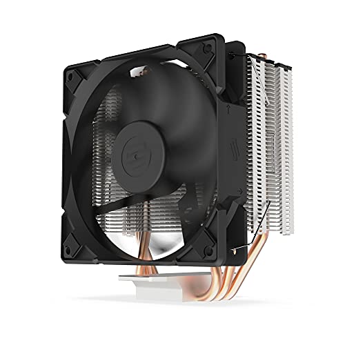 Spartan 4