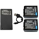 WELLSKY DMW-BLB13 1600mAh 互換バッテリー 2個 + DE-A43A 超軽量 USB Type-C 急速 互換充電器 バッテリーチャージャー 1個 [ 純正充電器で充電可能 残量表示可能 純正品と同じよう使用可能 ] パナソニック ルミックス DMC-GH1 DMC-G1 DMC-GF1 DMC-G2 DMC-G10