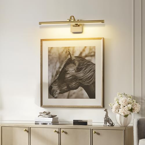 Image of DESOOP Brass Picture Lights for wall Hardwired LED Picture Frame Light Dimmable Painting Lights for Wall Portrait Artwork 23.62 inch 14W Warm White