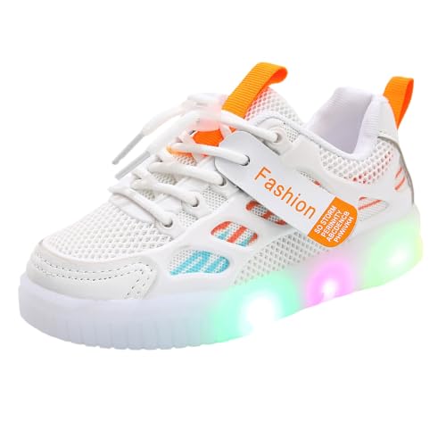 C j̎q ̎q 17cm 18cm 15cm 3e Xj[J[ LbY L  ^C w y ~  q C  ʊw ʉ  X|[cV[Y ʋC NbV lC V[Y v[g LbYV[Y 3e