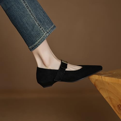 Cozivwaiy Mary Janes Shoes Women Soft Ballet Flats Comfortable Pointed Toe Buckle Strap Business Casual Shoes4