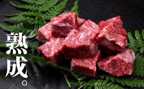 飛騨牛 カレーシチュー用 600g 牛肉 和牛 飛騨の牧場で育った熟成肉『山勇牛』30日以上熟成 サイコロステーキ 冷凍 飛騨牛 熟成肉 飛騨市