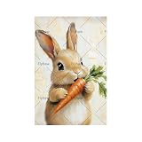 Peter Rabbit Decor Tin Sign Easter Wall Decor Metal Sign Carrot Tin Poster Decor Spring Wall Art Sign for Home Farmhouse Kitchen Living Room Bedroom 12x16 Inch