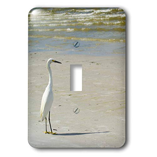 Interrupteur à bascule simple Egret on The Beach commande fluide et décor mural durable