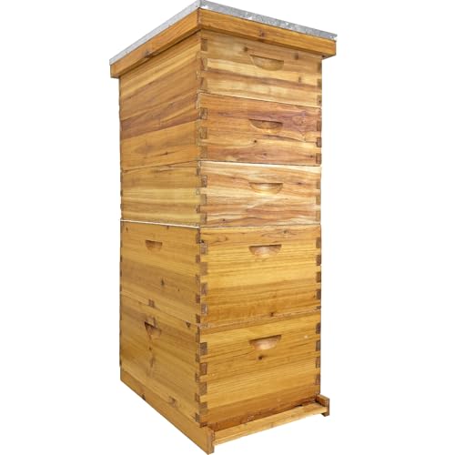 RJFKSNC 5-Layer Langstroth Bee Hive Kit 100% Beeswax Coated Wood Beehive Includes 2 Deep Breeding Boxes and 3 Medium Super Boxes 10-Frame Standard Bee House with Metal Top Cover No Frames
