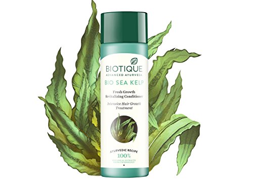 Image of Biotique Bio Kelp Protein Shampoo for Falling Hair Intensive Hair Regrowth Treatment, 800ml and Biotique Bio Sea Kelp Fresh Growth Revitalizing Conditioner, 120ml