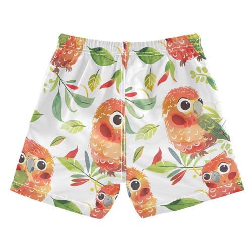 Cute Chubby Parrots Boys Swim Trunks Toddler Shorts Swimwear Boardshorts2