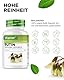 Rutin 500 mg - 180 Kapseln (6 Monatsvorrat) - Premium: 95% echtes Rutin aus natürlichem Sophora japonica Extrakt - Hochdosiert - Ohne Zusätze - Vegan