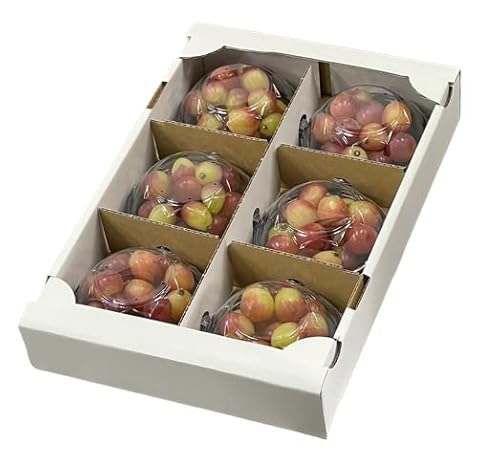 お歳暮 ぶどう マイハート 摘み落とし 風のいたずら ちょっと訳あり 200g×6パック 岡山県産 ギフト 葡萄 ぶどう ブドウ