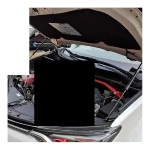 Amortisseurs capot moteur RAV4 solution levage sans effort