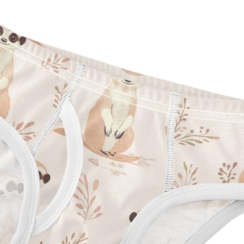 Wusikd Meerkats Boys' Underwear Cotton Cute Boys Briefs Soft Toddler Underwear 2T4