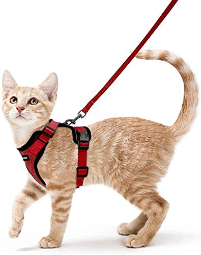 Image of rabbitgoo Cat Harness and Lead Set, Escape Proof Vest, Red | Soft Breathable Mesh, Adjustable Fit, Snap Buckles, Reflective Strips, with 1.5m Lead for Small & Average Cats Walks, XS