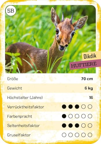 Das verrückte Quartett: Tier-Quartett und Trumpf-Kartenspiel | Spielspaß für Kinder ab 8 Jahren