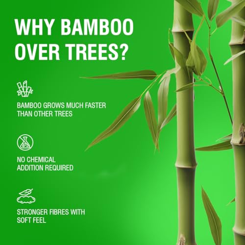Image of Beco Toilet Tissue Rolls | 3-ply, 1920 Pulls (160 x 12 Rolls) | Tissue Paper Roll, Toilet Paper Roll - Eco Friendly, Soft & Highly Absorbent, 100% Natural Bamboo, Chemical-Free, Hypoallergenic