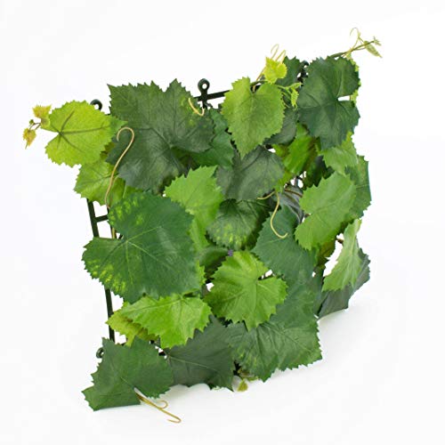 Hojas De Parra Lidl Me pica la curiosidad