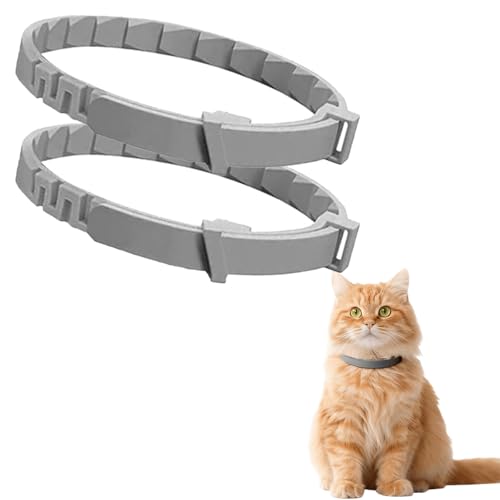 2er-Pack Katzenhalsband Mit NatüRlichen äTherischen öLen, Zur Vorbeugung Von Infektionen, Sicher, Wasserdicht, Verstellbar, Sicher FüR Katzen Ab 7 Wochen, 16 Monate Schutz 2er-Pack Katzenhalsband Mit NatüRlichen äTherischen öLen, Zur Vorbeugung Von Infektionen, Sicher, Wasserdicht, Verstellbar, Sicher FüR Katzen Ab 7 Wochen, 16 Monate Schutz