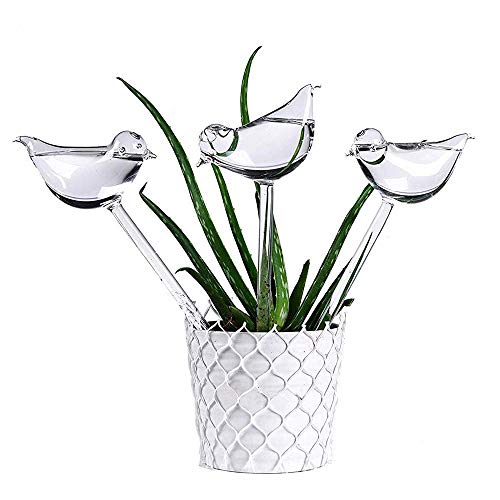 best gifts for plant lovers