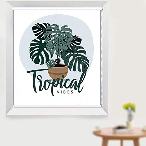 ZTMN Persianas enrollables Persianas/Dormitorios/Persianas enrollables para Ventanas Persianas, con Motivos Florales Terminación Opaca Blanco - 60cm / 80cm / 100cm / 120cm / 140cm de Ancho (T