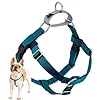 2 Hounds Design Freedom No Pull Dog Harness Adjustable Harness Easy Walking Comfortable Control Fits Small Medium Large Dogs Solid Colors Made in USA 1 MD Teal