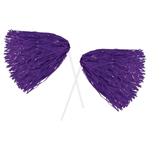 Beistle Purple Poly Shakers, 2-Count, Cheerleader Pom-Poms for Sports Events, Football & Basketball Game Days, Pep Rallies, Parade Accessories, School Spirit and Team Pride Celebrations, 12” x 11”