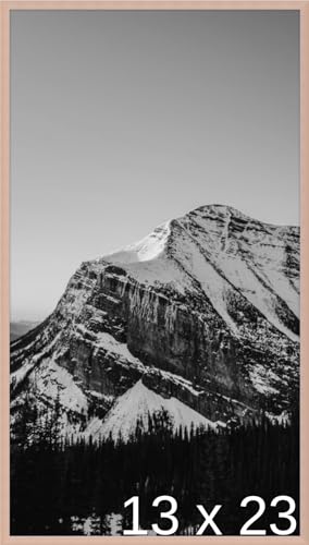 Frame It Easy 13 x 23 Rose Gold Metal Frame (Ashford)