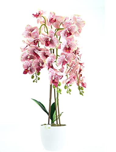 DIXIE STORE Kunstpflanze Orchidee | Künstliche Orchidee im Topf, wie echt, 70 cm, 4 Zweige, Zahlreiche Blumen, Dicht, Rosa Cover