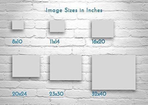 Miniatura 4 de Santa Rita Prickly Pear Cactus Photography Heart in Nature