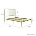 Novogratz Nicole Modern Metal Platform Bed with Tall Vertical Slat Headboard, Underbed Space for Storage, No Box Spring Needed, Queen, Gold