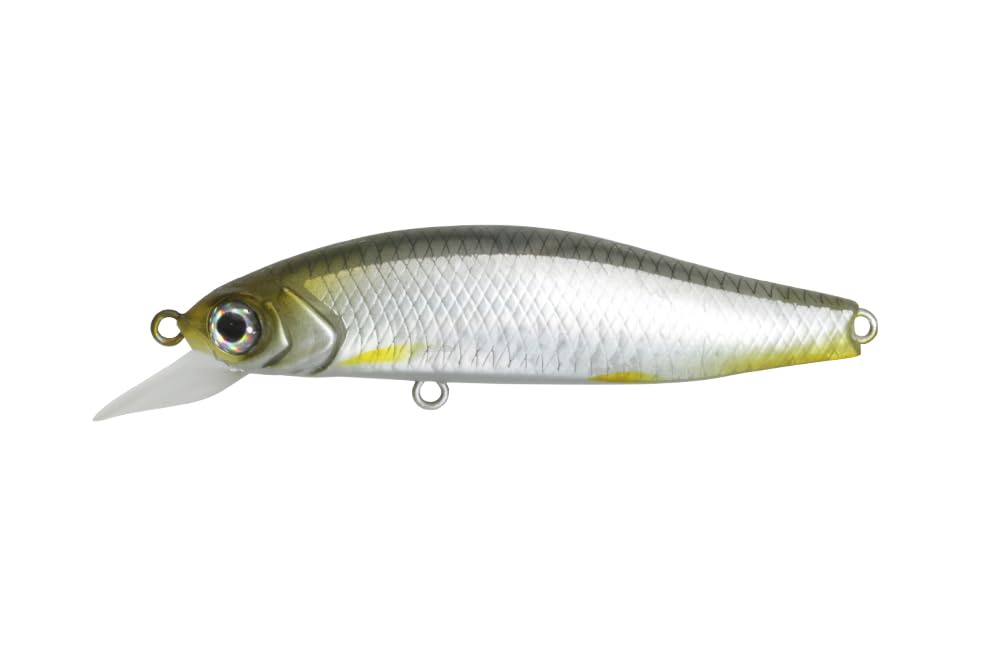 バス釣り引退品 ジャッカル 一誠 GCミノー 55 SR F 5個セット G.C.ミノー 55SR-F | issei [一誠]