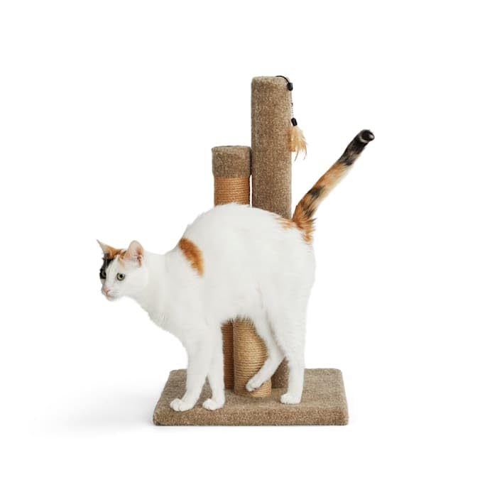 Rascador para gato torre EveryYay 14 in con juguete miniatura 2