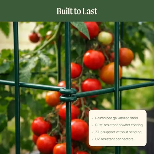 Image of Vego Garden 4 Pack 11.5 inch Square Tomato Cage for Garden & Pots, Rust-Resistant Tomato Stakes Heavy Gauge Plant Cage Trellis Support for Climbing Vegetables Plants