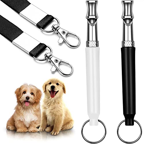 Why Do Dogs Listen To Whistles