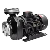 Pompe à chaleur TYPE RGZ 10 RGZ 10E RGZ 20 RGZ 20E RGZ 30 120 ° 180 ° 200 ° 380V, pompe à eau, pompe à huile haute température, circulation(RGZ 30 200 380V)