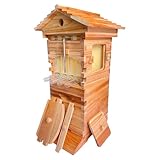 DNEPEI Kit de démarrage pour Ruche avec 4 Cadres à Miel automatiques et 6 Cadres à couvain...